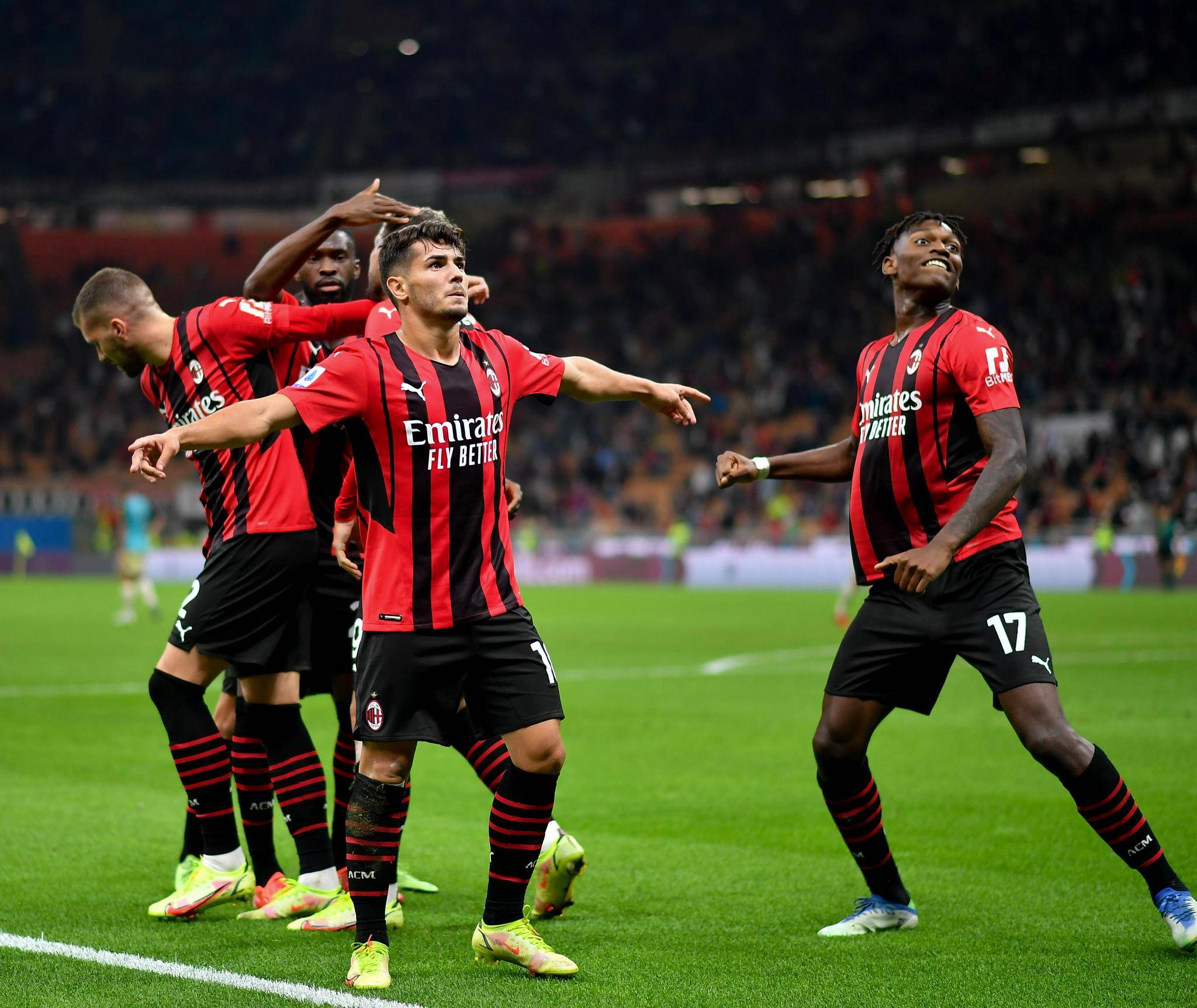 决定了适应 决定了适应