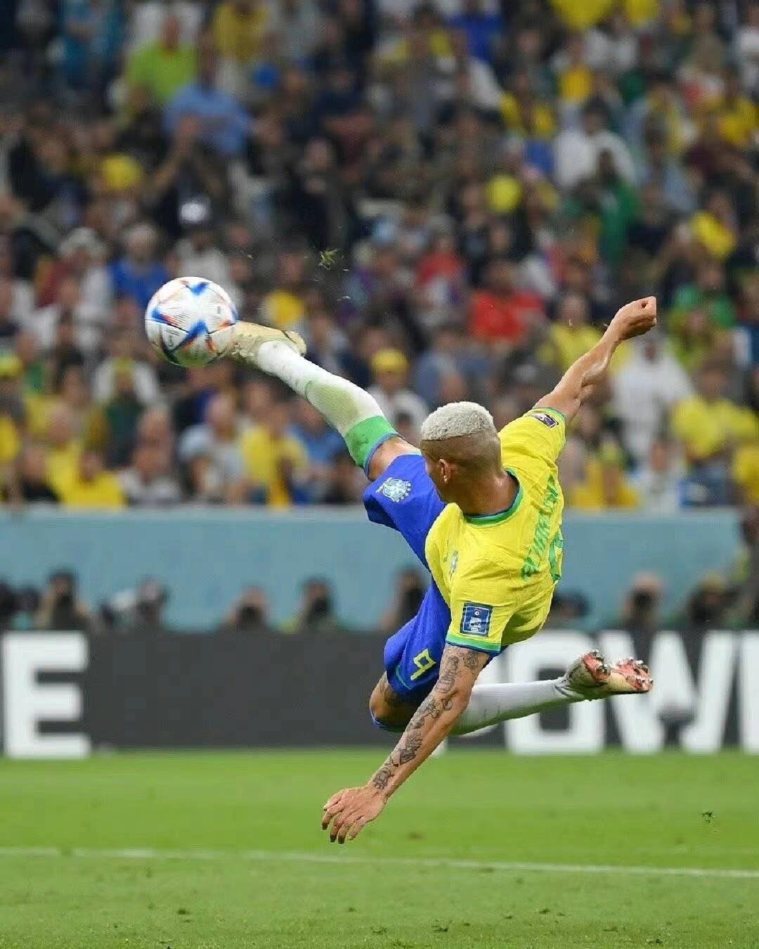 教练团队的 教练团队的