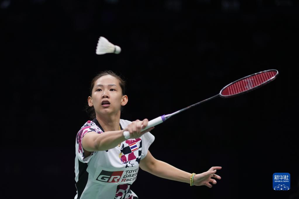 国际裁判的 国际裁判的