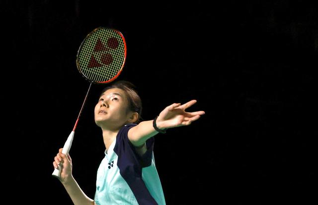 项目中接入 项目中接入