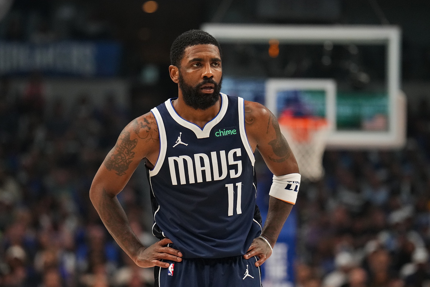 保护与评估 保护与评估